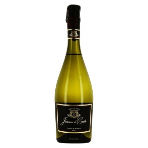 Picture of Jeanne De Coste Blanc De Blanc 750ml
